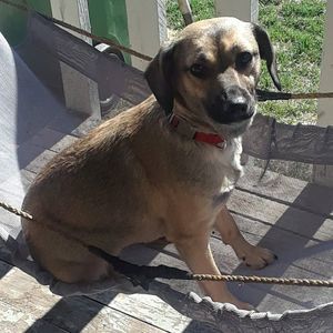 Meet your Posher, Jill